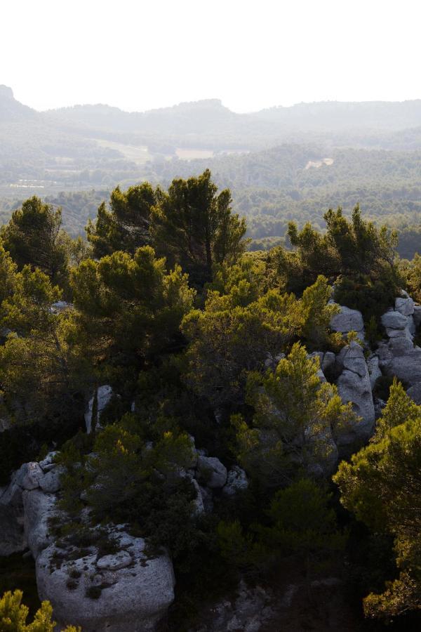 Le Mas Angelou Maussane les Alpilles Kültér fotó
