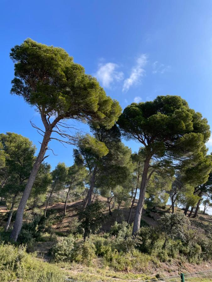 Le Mas Angelou Maussane les Alpilles Kültér fotó