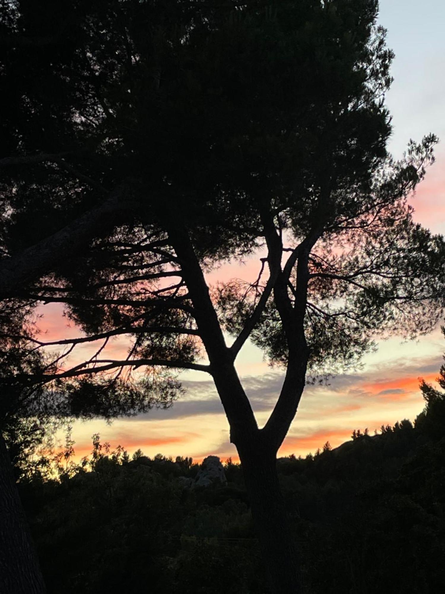 Le Mas Angelou Maussane les Alpilles Kültér fotó